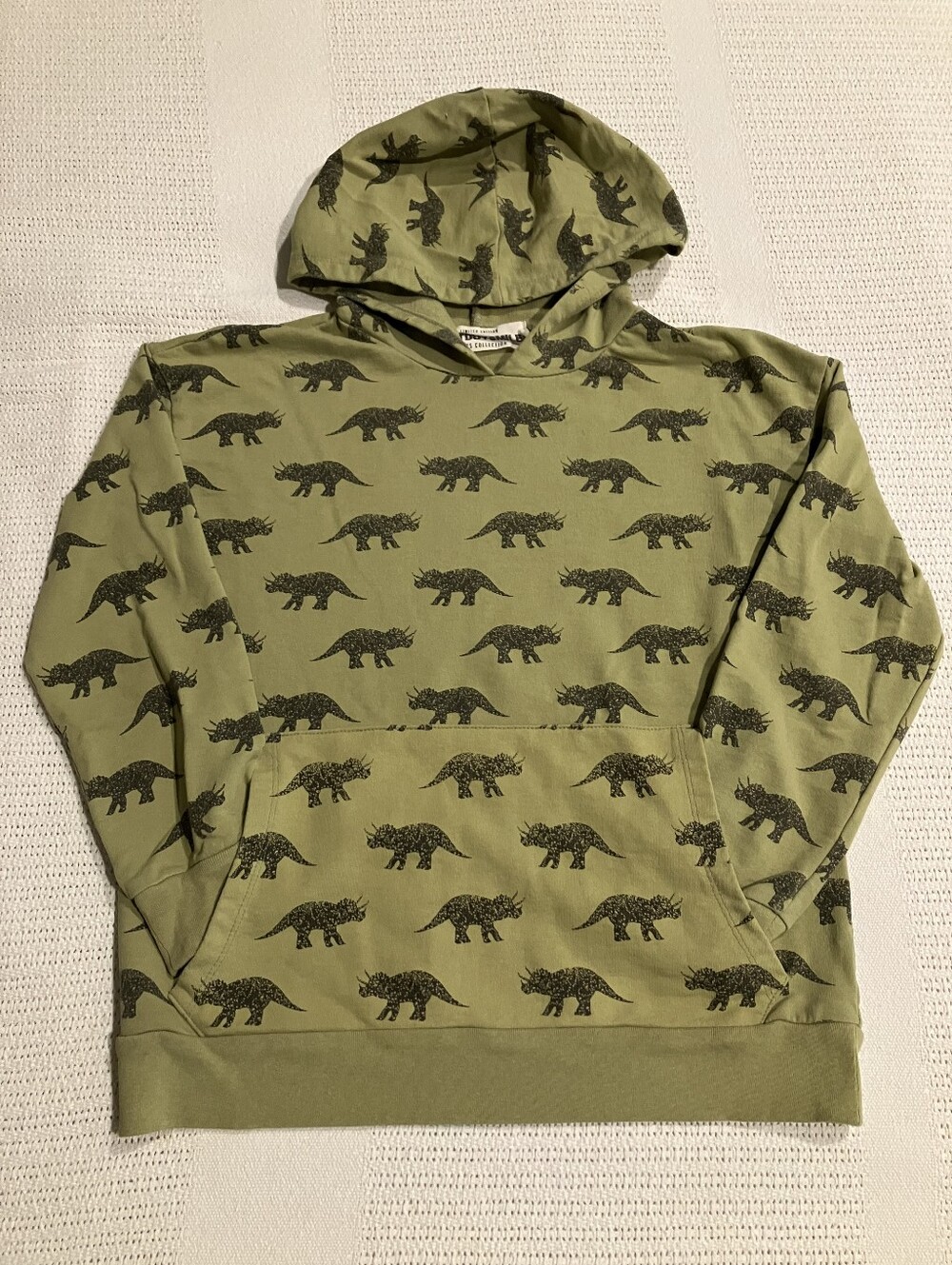 $4 If Bundled . Hoodie with Dinosaur Print